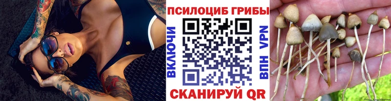 Галлюциногенные грибы Psilocybine cubensis  хочу   KRAKEN ссылка  Зима 